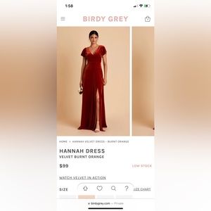 Birdy Greg Hannah Velvet Dress - Burnt Orange size Large